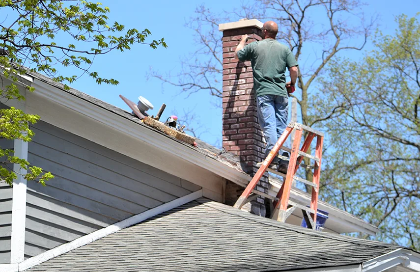 Chimney & Fireplace Inspections Services in Vernon Hills, IL